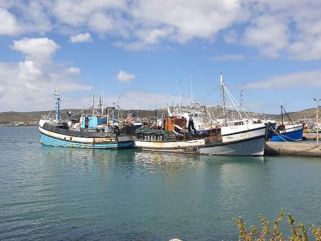 0 Bedroom Property for Sale in Da Gama Bay Western Cape
